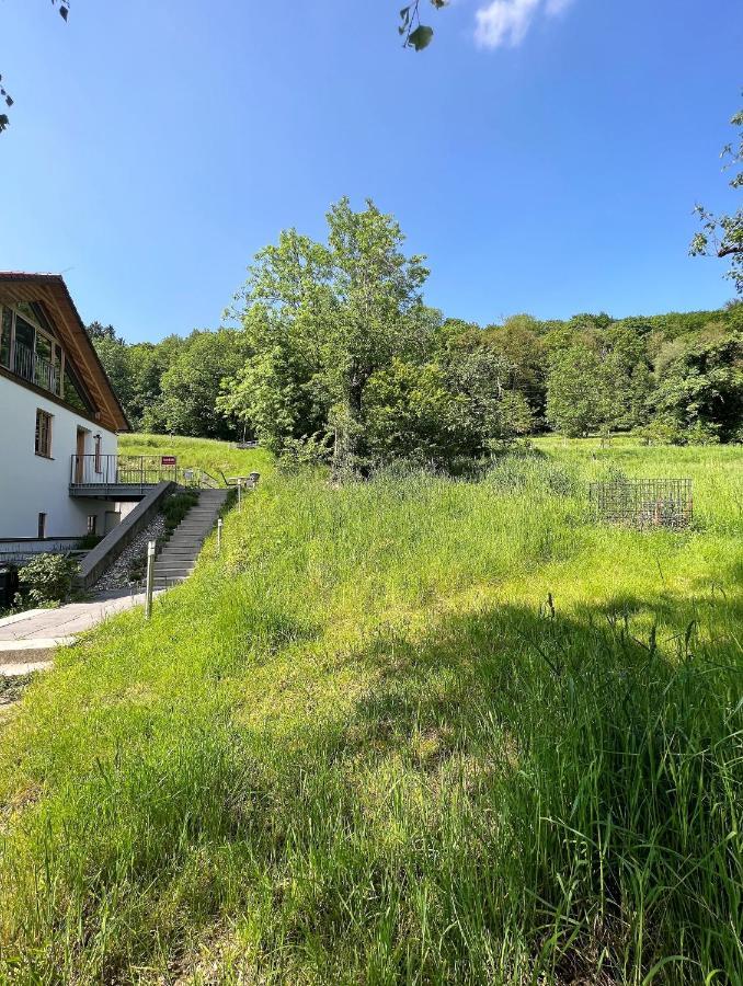 Sunhill Appartments, Klimatisiert Winhoring Eksteriør billede